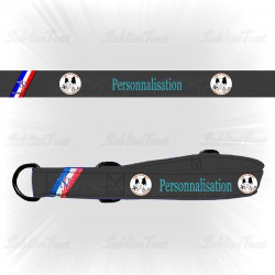 Collier pour chien LICT