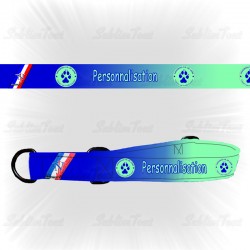 Collier pour chien...