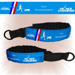 Collier pour chien France...