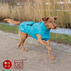 Manteau chien France Canicross